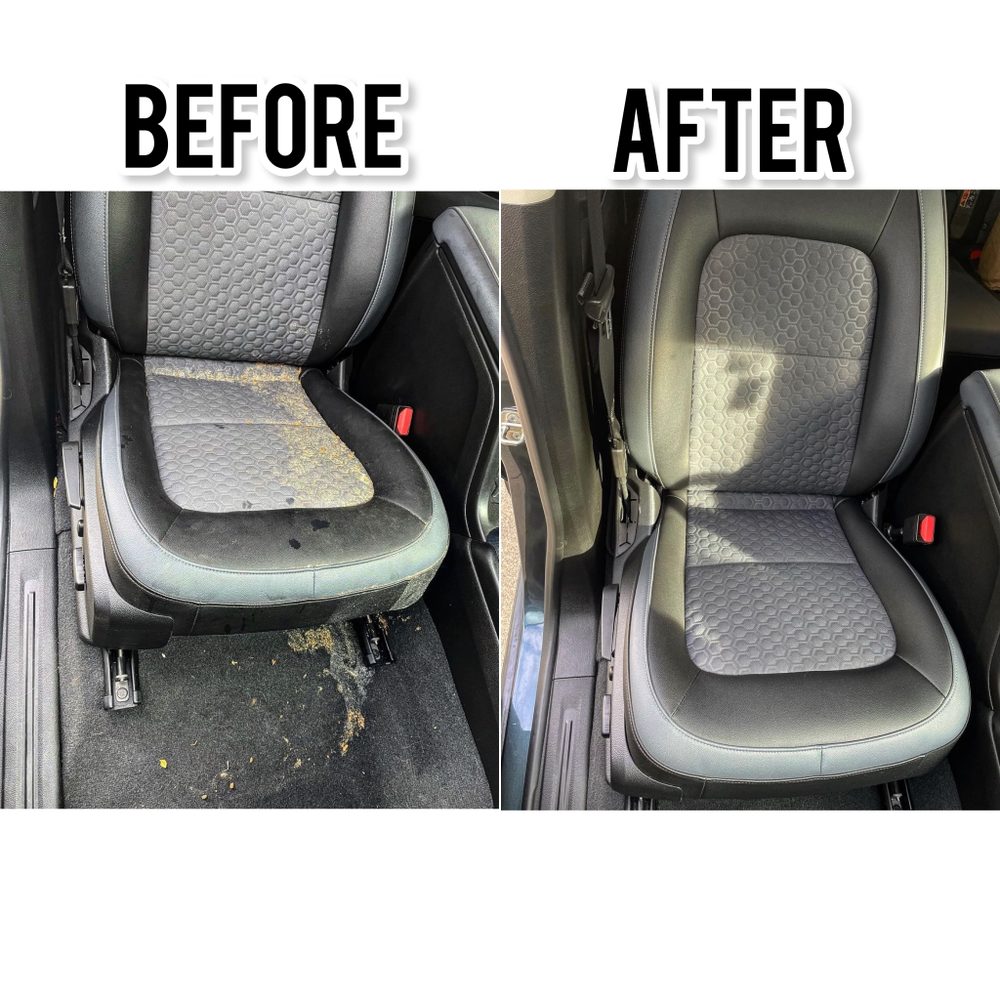 Cleaned Interior